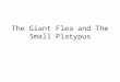 The Giant Flea and The Small Platypus