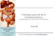 Tema 35 Pg De La Motilidad Gastrica Y Vomito