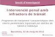 Programes de tractament i característiques dels interns penitenciaris ingressats per delictes de trànsit a Catalunya