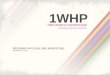 1whp indonesia perfect system
