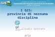 Claudia Spinnato:   I GIS: provincia di nessuna disciplina