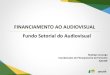 Financiamento Audiovisual - AULA 1 | Programas de Fomento | Rodrigo Camargo |