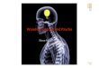 NPK2011: Wundversorgung und Psyche – neue Recherchen