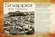NZFN | Snapper - The History
