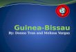 Guinea Bissua Talent 21 project