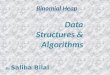 Binomial heap (a concept of Data Structure)