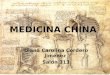 6976140 medicina-china