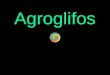 Agroglifos (ll)1