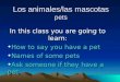 Pets presentation 3