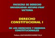 14-26. Derecho Constitucional. Art. 19. De los Derechos y Deberes Constitucionales