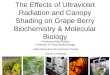 Uv radiation-and-molecular-effects