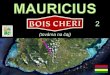 Mauricius - Bois Chéri - tea factory - 2 (2012)