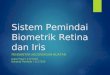 Sistem pemindai biometrik retina dan iris
