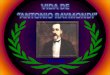 Biografia De Antonio Raymondi