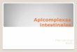 Apicomplexas Instestinales