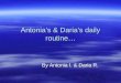 Antonia's & Daria's daily routine