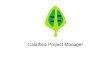 Calathea Project Manager ES