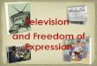 Television and Freedom of Expression