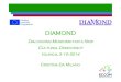 Diamond_project presentation_by Cristina Da Milano ECCOM