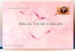 Sessió Malaltia Chagas