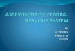 Central nervous system vidhya