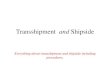 Transshipment  and shipside