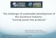 Sustainability challenge of the aluminum industry: transforming wastes into products