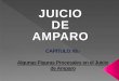 ALGUNAS FIGURAS PROCESALES EN EL JUICIO DE AMPARO