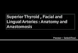 Thyroid, facial and lingual artery -- Anatomy and anastomosis