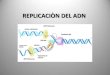 Replicaciòn del ADN