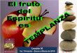 Leccion 10-el fruto del espíritu es templanza png