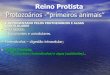 Protozoarios apresentação cleiton revisão