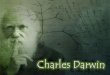 Darwin / Nietzsche