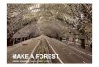 Duzan Doepel presentation Make a Forest