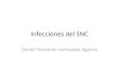 Infecciones del SNC - Parasitosis, infecciones por hongos