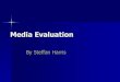 Media evaluation steffan