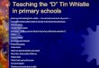 Teaching tin whistlein primary schools