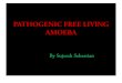 Pathgenic free living amoeba