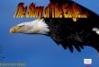 Rebirthofthe Eagle 9 15 08 (1)