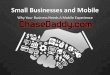 Cd small-businesses-theme-1-130321133804-phpapp02