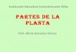 Alicia goncales vinces_laplanta