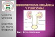 Hidronefrosis y uretronefrosis