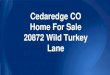 Cedaredge CO Home For Sale 20872 Wild Turkey Lane