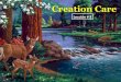 08 creation care