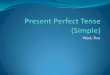 Present perfect tense (simple) 102