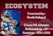 Ecosystem | class 12 | cbse