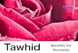 Tawhid - Benefits for Humanity