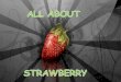 all abot strawberry