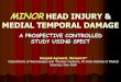 Minor head injury & medial temporal damage
