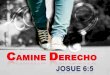 Sermon, "CAMINE DERECHO" JOSUE 6:5/Pastor Roberto Jimenez